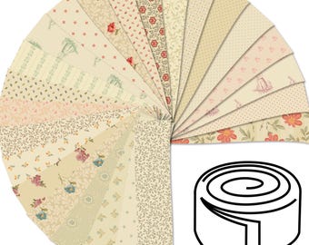 Laundry Line Jelly Roll Strips, Edyta Sitar of Laundry Basket Quilts for Andover, 42pc, J02