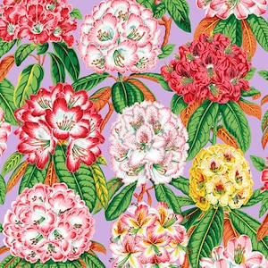 May include: A fabric print featuring clusters of rhododendron flowers in shades of red, pink, white, and yellow against a light purple background, with green leaves and a visible white measuring tape showing 60 cm at the bottom edge.