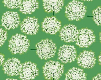 Martha Negley Nation of Flowers Queen Annes Lace Green PWMN046, Free Spirit Fabric, 100% Cotton Fabric, #FS867