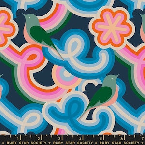 May include: A repeating pattern featuring stylized birds and retro-style rainbow and cloud shapes in shades of blue, pink, orange, and green. The text "RUBY STAR SOCIETY" is at the bottom of the image.