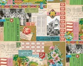Flea Market Mix, Multi Digital Panel, Cathe Holden Fabric, 100 Cotton, 7351-12D, 1265