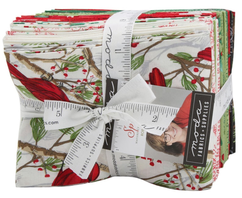 Fat Quarter Bundle 22pc Precut Fabric Quilting Cotton Robin Pickens 48650AB Moda Splendid