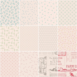 PRE-ORDER, Lori Holt Farmer&#39;s Daughter Rolie Polie, Fabric Strips, Riley Blake Fabric, Jelly Roll, RP-17160-40, December 2025 Release