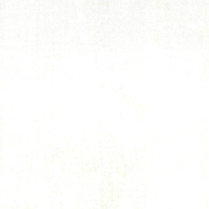 May include: A plain white background with a subtle grainy texture.