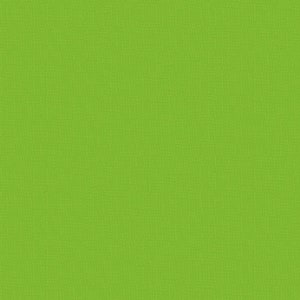 Alison Glass Kaleidoscope 2021, K-12 Turtle, Andover Fabric, 100% Cotton, #A411