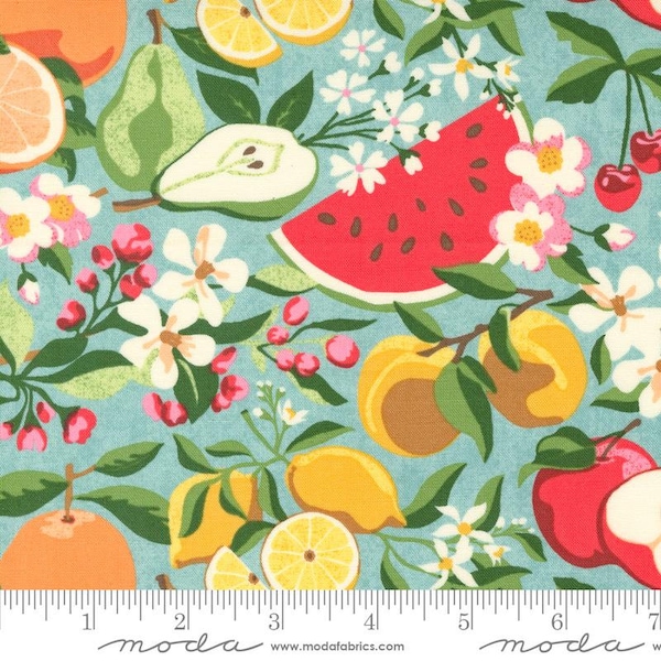 Moda Fruit Loop Fabric, 30730-16 Jenipapo, BasicGrey Fabric, Watermelon Florals Fruit, 100% Cotton