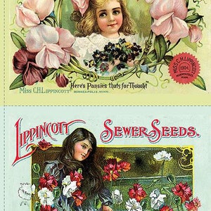 J Wecker Frisch Sewing Seeds III Pillow Sham 24&quot; Panel PD15680, Riley Blake Fabric, Vintage Sewing, 100% Cotton, FBA-12