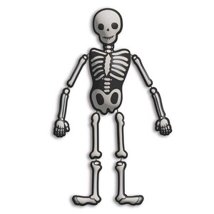 May include: A white and black skeleton decoration with articulated joints. The skeleton has a skull-shaped head, rib cage, and leg and arm bones. The skeleton is a Halloween or Day of the Dead decoration.