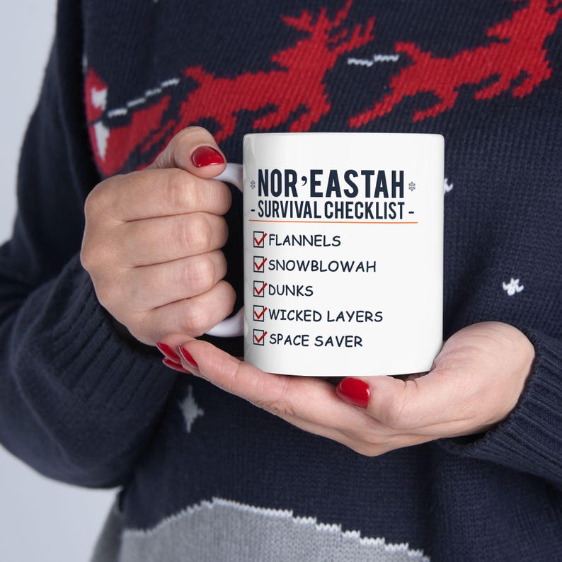 Nor'eastah Survival Checklist Mug: Funny Boston New England Gift image 5