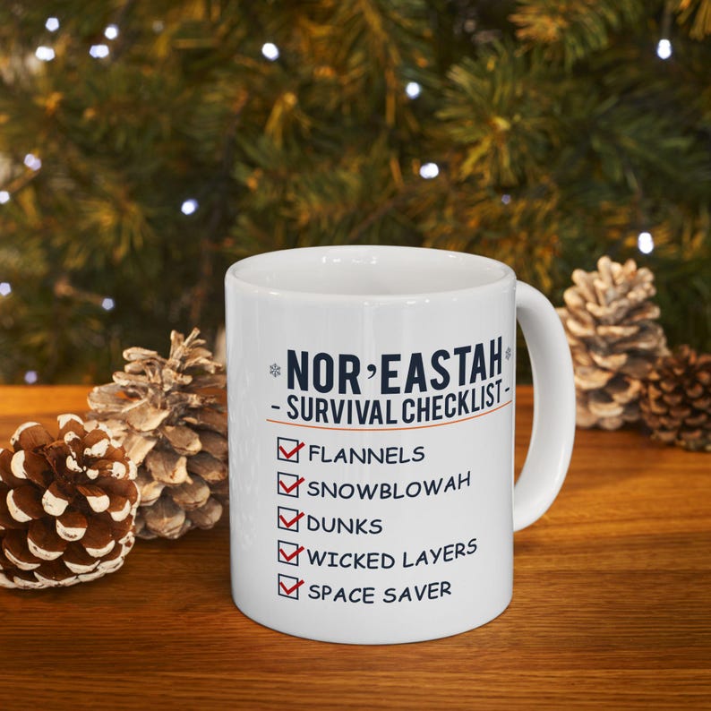 Nor'eastah Survival Checklist Mug: Funny Boston New England Gift image 8
