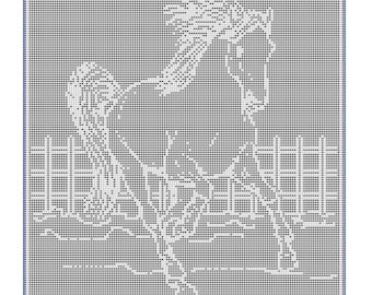 Artículo 923 Caballo corriendo filete crochet doily afgano colcha mantel cortina patrón PDF descarga digital