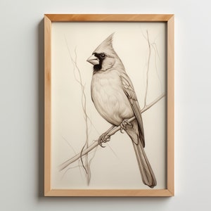 Dibujo a lápiz Vintage Cardinal Bird, arte animal, dibujo lineal, decoración rústica del hogar, arte minimalista, arte de pared de pájaros, arte digital, impresión de la naturaleza