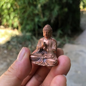 May include: A small, copper-colored Buddha statue in a seated meditation pose. The figure has detailed facial features and is held in a hand against a blurred green background. The statue is a representation of Buddhist art.