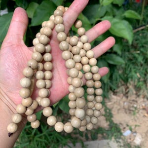 May include: A string of light beige wooden beads, possibly for prayer or meditation. The round beads are strung together, with a darker tassel at the end. The beads are held in an open hand against a backdrop of green foliage.