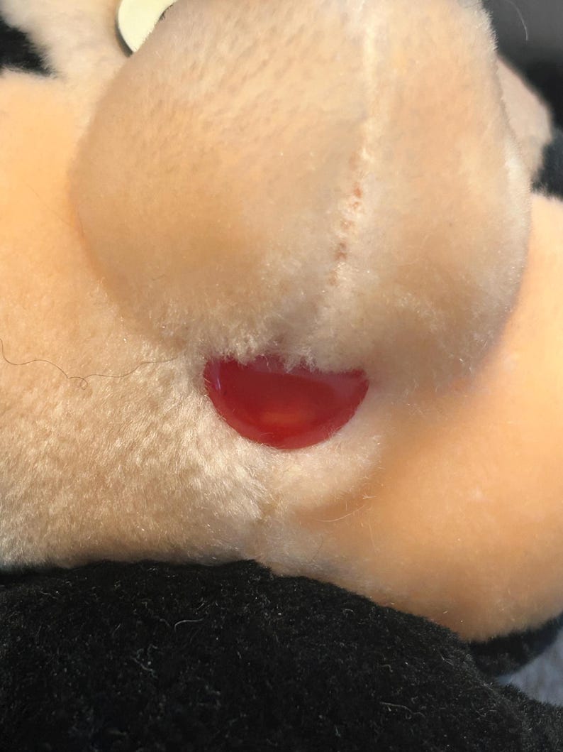 May include: Close-up of a plush toy's face, showing a red button nose.