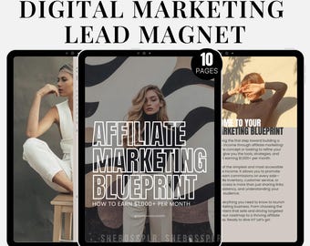 Affiliate Marketing Guide: Lead Magnet, PLR & Master Resell Rights (Digital Download)