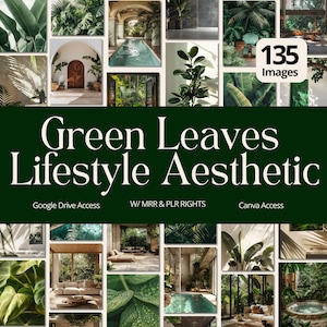 May include: A collection of images showcasing green leaves and lifestyle aesthetics. The words "Green Leaves Lifestyle Aesthetic" are displayed. Other text includes "135 Images", "Google Drive Access", "W/ MRR & PLR RIGHTS", and "Canva Access".