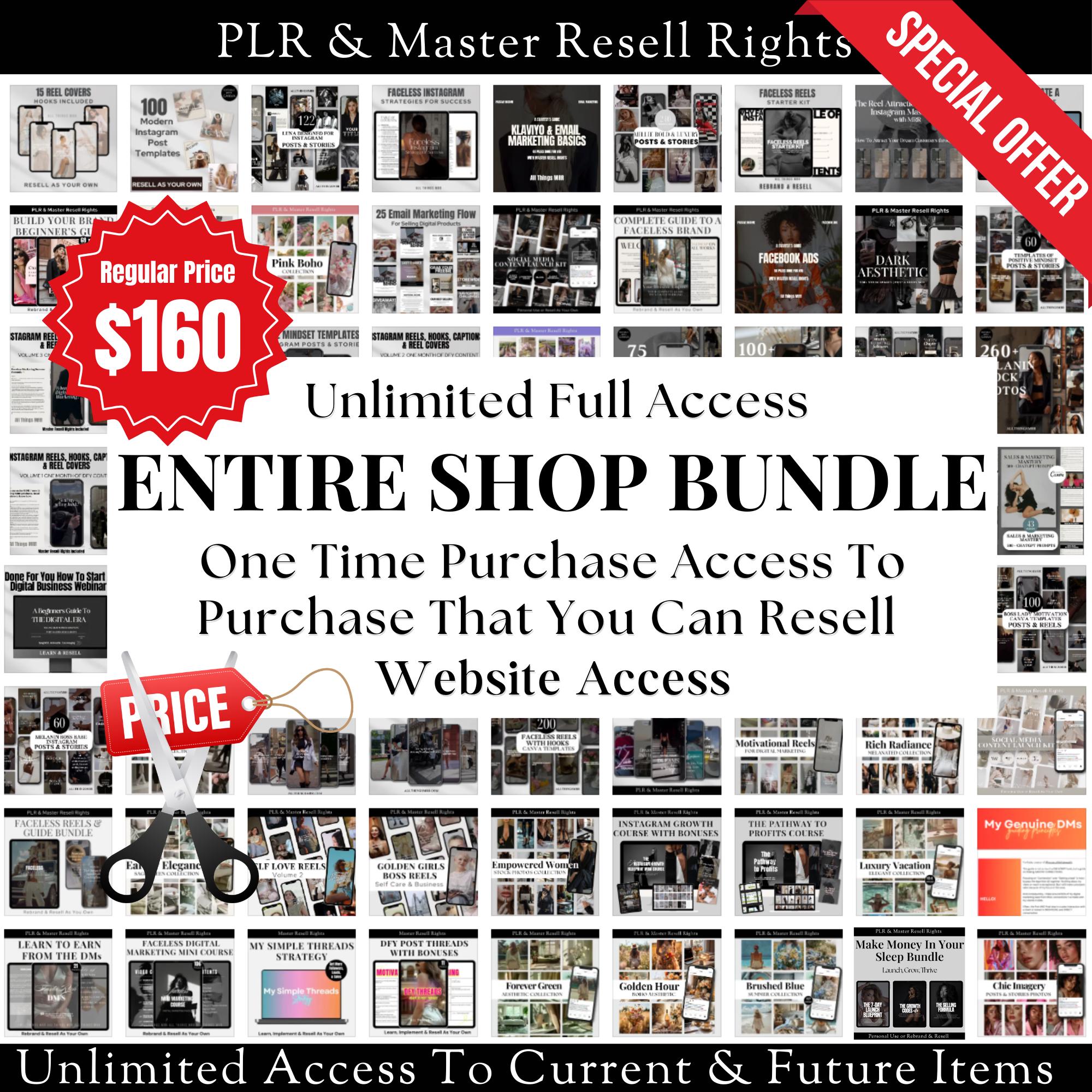 PLR MRR Digital Products Entire Shop Bundle Ready Made Digital Products Sell On Etsy MRR Product White Label Products Whole Shop Bundle