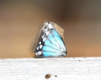 Turquoise Butterfly Wing Cane, Raw or Unbaked Polymer Clay