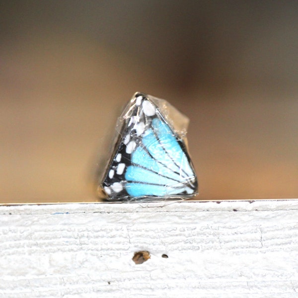 Canne à ailes de papillon turquoise, argile polymère brute ou non cuite