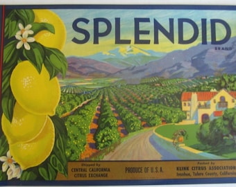 10 Old Different Vintage Lemon Crate Labels