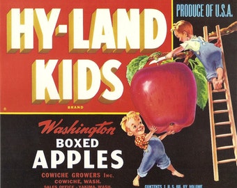 10 Old Vintage APPLES  CRATE LABELS  Washington etc...