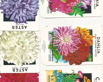 6 Old 1950's-60's FLOWER SEED Packets. Aster - Red, White, Blue, Dahlia, Petunia, and Cactus