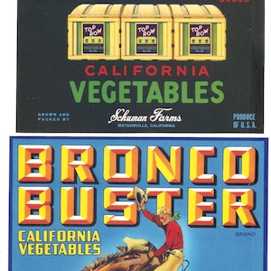 Look! Terry Vegetables Vintage Crate Label 1940's Watsonville Calif.
