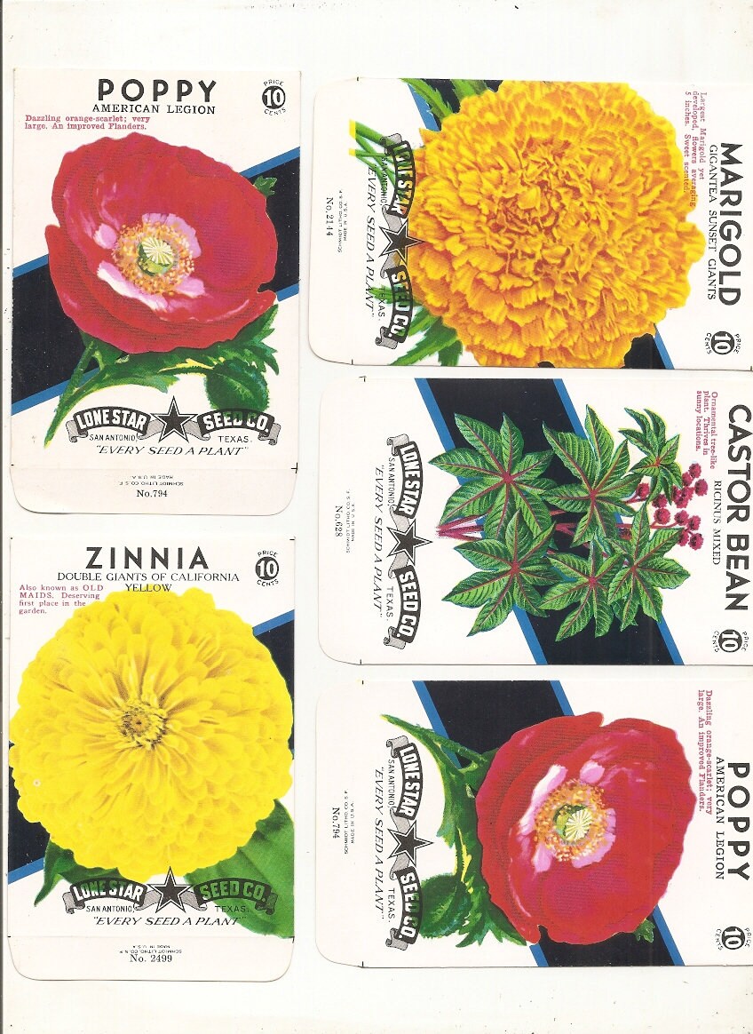 55 Old Vintage Flower / Vegetables Seed Packets Lone Star Seed Co. San Antonio,Texas BEANS,TOMATO Cucumber,RADISH,Peas,Corn