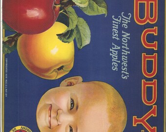 20 Old Vintage Apple Crate Labels Buddy ,  Lake Chelan , West Valley , HY-LAND Kids , My Treat , WENATCHEE Chief , Hy-Tone etc...