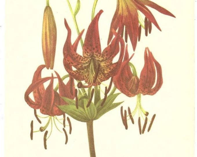 This item is unavailable Etsy