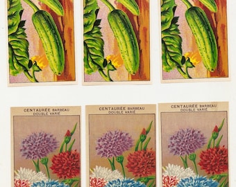 6 1920's Original French Seed Pack Labels Flowers and Vegetable