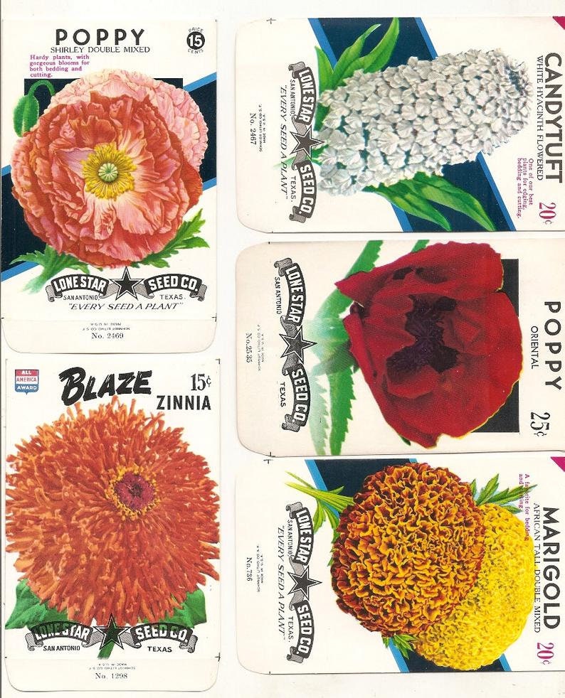 63 Old Vintage Flower Seed Packets Lone Star Seed Co. San Antonio