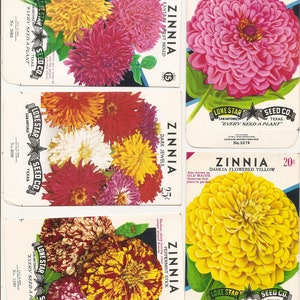 47 Old Vintage Flower Seed Packets Gloriosa Daisy, Alyssyum,ZINNIA,Snapdragon,Calendula,MARIGOLD,TITHONIA,Cockscomb,Larkspur,Petunia,etc.