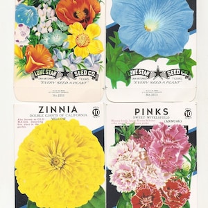 Set of 5 Different Vintage Flower Seed Packets, San Antonio, Lone Star  Texas L04
