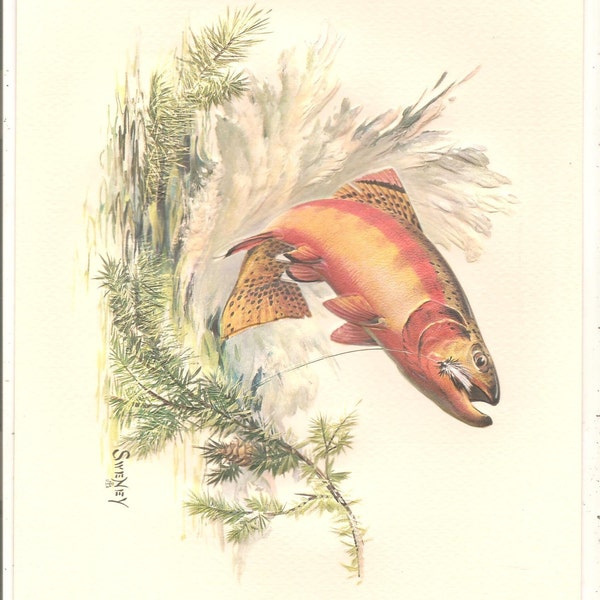 2 Old Vintage  - Fred Sweney - Heavily Embossed Prints TROUT - Fish , Dall Sheep Ram