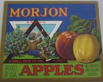 20 etiquetas antiguas vintage para cajas de manzanas