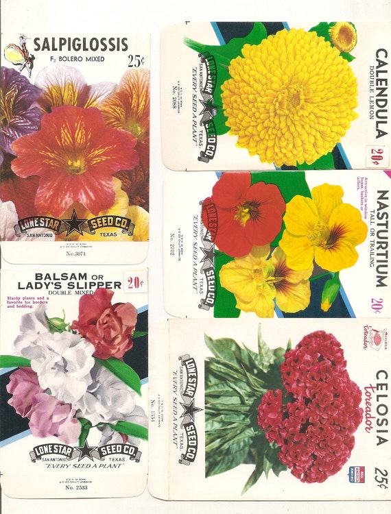 EMPTY Lot of 25 Old Vintage 1940/'s FLOWER SEED PACKETS Lone Star TEXAS