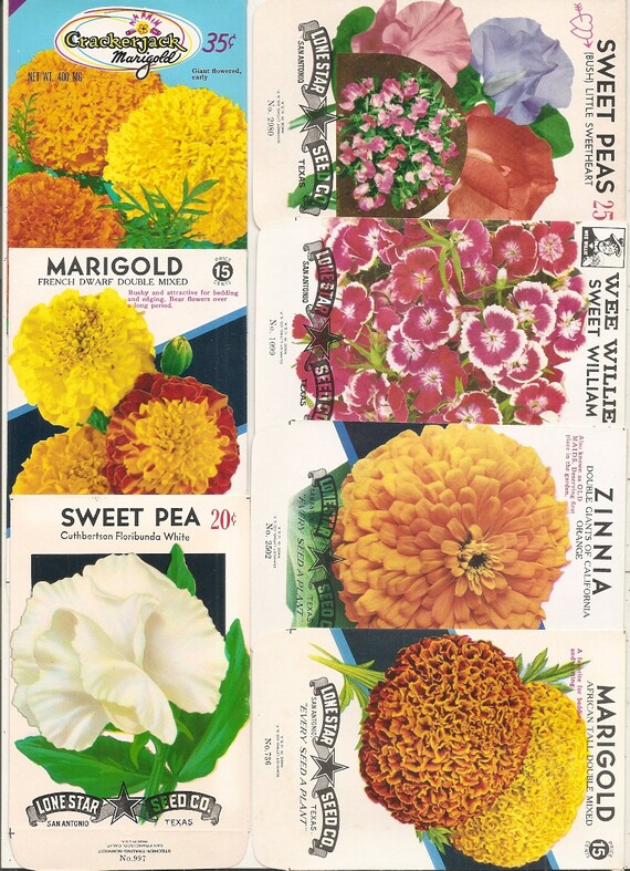 63 Old Vintage Flower Seed Packets Lone Star Seed Co. San Antonio,texas  Moon,nasturtium,snapdragon,ageratum,jack Bean,flower Garden Mixture 