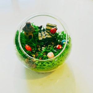 Kit de terrarium de jardin féerique