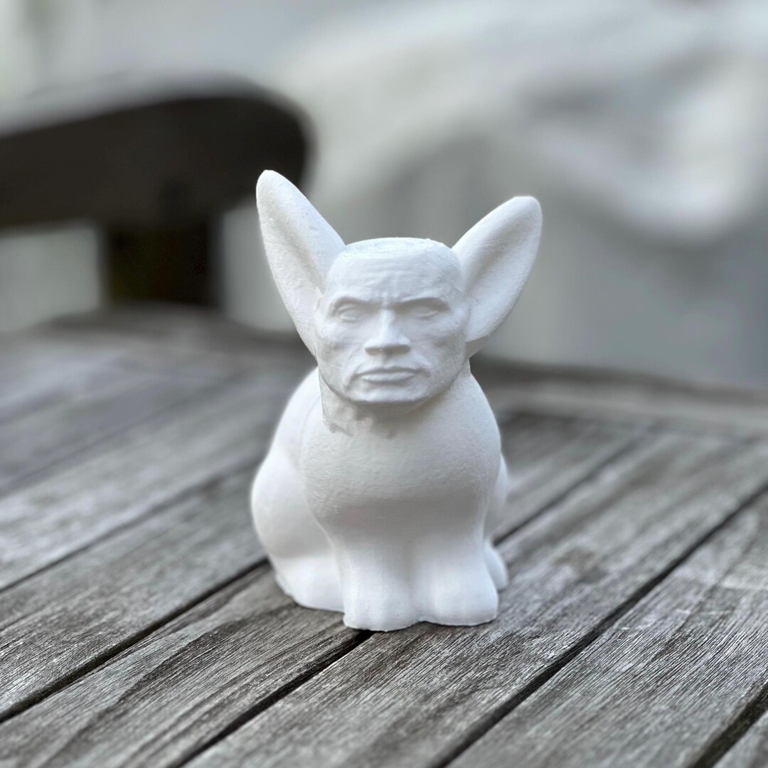 Rock Rabbit Fun Rock Rabbit! Rabbit Body With Rock Face. Top of His ...