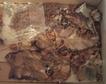 large 14 inch box of dried and pressed flowers, ferns, and plants.