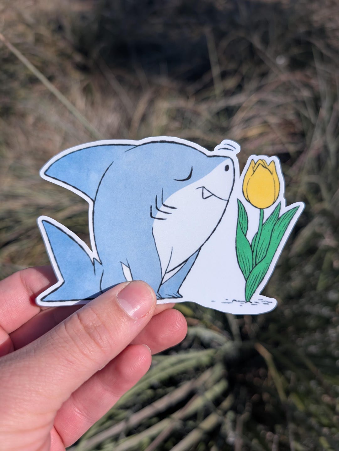 Landshark Land Shark Lager Beer / Sticker 10 Sizes!! Tracking!! FREE SHIPPING! E - Foto 6