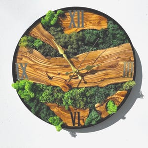 Reloj de pared de madera de olivo con musgo, musgo preservado y estabilizado, reloj de pared de madera de olivo y arte mural de musgo, decoración de pared personalizada, arte mural