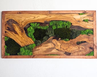 Custom Made Moss Olive Tree Wooden Frame Wall Decoration, Moss Wall Decor with Wooden Frame, Olive Wood and Moss Wall Art, Home-Office Gift