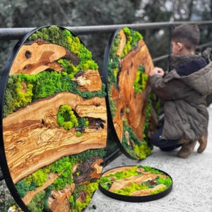 Moss Wall Decor, Olive Wood and Moss Wall Art, Custom Made Moss Wood Wall Art, Preserved Stabilized Moss Wall Decor, Wood & Preserved Moss