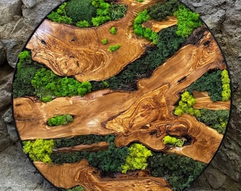 Olive Wood and Moss Wall Art, Custom Made Moss Wood Wall Art, Preserved Stabilized Moss Wall Decor, Wood & Preserved Moss, Moss Wall Decor