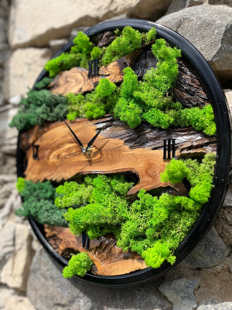 Custom Moss Olive Wood Wall Clock, Live Moss Wooden Wall Art, Preserved ...