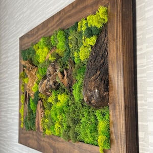 Moss Wall Decor with Wooden Frame, Olive Wood and Moss Wall Art, Custom Made Moss Wood Wall Art, Preserved Stabilized Moss Wall Decor