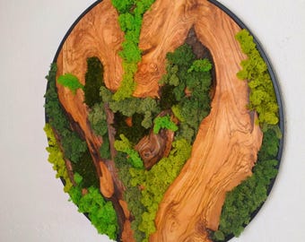 Olive Wood and Moss Wall Art, Custom Made Moss Wood Wall Art, Custom Made Moss and Olive Tree Wall Art, Framed Wall Art, Christmas Gift